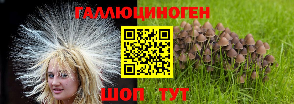 Галлюциногенные грибы ЛСД  Вход с VPN  Гай 